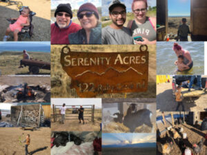 Serenity Acres Collage